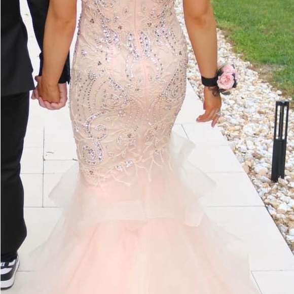 Stunning Cinderella Divine Formal Gown - Picture 5 of 8